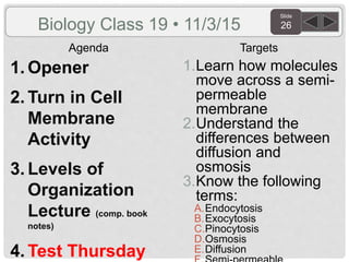 Slide
26
Agenda Targets
Biology Class 19 • 11/3/15
1. Opener
2. Turn in Cell
Membrane
Activity
3. Levels of
Organization
Lecture (comp. book
notes)
4. Test Thursday
1.Learn how molecules
move across a semi-
permeable
membrane
2.Understand the
differences between
diffusion and
osmosis
3.Know the following
terms:
A.Endocytosis
B.Exocytosis
C.Pinocytosis
D.Osmosis
E.Diffusion
 
