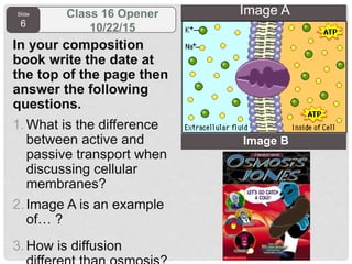 Slide
6
Class 16 Opener
10/22/15
In your composition
book write the date at
the top of the page then
answer the following
questions.
1.What is the difference
between active and
passive transport when
discussing cellular
membranes?
2.Image A is an example
of… ?
3.How is diffusion
Image B
Image A
 