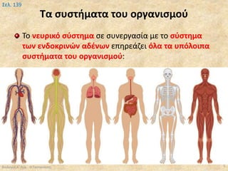 Τα συστήματα του οργανισμού
Βιολογία Α' Λυκ.- Θ.Ταντανάσης 5
Σελ. 139
Το νευρικό σύστημα σε συνεργασία με το σύστημα
των ενδοκρινών αδένων επηρεάζει όλα τα υπόλοιπα
συστήματα του οργανισμού:
 