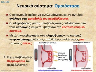 Νευρικό σύστημα: Ομοιόσταση
Ο οργανισμός πρέπει να αντιλαμβάνεται και να αντιδρά
ανάλογα στις μεταβολές του περιβάλλοντος.
Οι πληροφορίες για τις μεταβολές αυτές συλλέγονται από
τους υποδοχείς και μεταβιβάζονται στο κεντρικό νευρικό
σύστημα.
Μετά την επεξεργασία των πληροφοριών, το κεντρικό
νευρικό σύστημα δίνει τις κατάλληλες εντολές στους μυς
και στους αδένες.
Βιολογία Α' Λυκ.- Θ.Ταντανάσης 6
Σελ. 139
 Π.χ. μεταβολή στην
θερμοκρασία του
περιβάλλοντος:
 