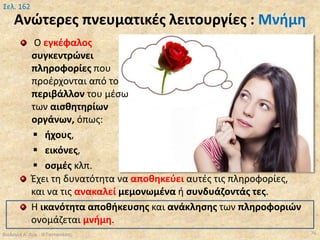 Ανώτερες πνευματικές λειτουργίες : Μνήμη
Έχει τη δυνατότητα να αποθηκεύει αυτές τις πληροφορίες,
και να τις ανακαλεί μεμονωμένα ή συνδυάζοντάς τες.
Η ικανότητα αποθήκευσης και ανάκλησης των πληροφοριών
ονομάζεται μνήμη.
Βιολογία Α' Λυκ.- Θ.Ταντανάσης 76
Σελ. 162
Ο εγκέφαλος
συγκεντρώνει
πληροφορίες που
προέρχονται από το
περιβάλλον του μέσω
των αισθητηρίων
οργάνων, όπως:
 ήχους,
 εικόνες,
 οσμές κλπ.
 