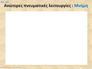 Ανώτερες πνευματικές λειτουργίες : Μνήμη
Βιολογία Α' Λυκ.- Θ.Ταντανάσης 80
Σελ. 163
 