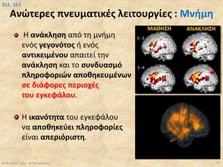Ανώτερες πνευματικές λειτουργίες : Μνήμη
Η ανάκληση από τη μνήμη
ενός γεγονότος ή ενός
αντικειμένου απαιτεί την
ανάκληση και το συνδυασμό
πληροφοριών αποθηκευμένων
σε διάφορες περιοχές
του εγκεφάλου.
Η ικανότητα του εγκεφάλου
να αποθηκεύει πληροφορίες
είναι απεριόριστη.
Βιολογία Α' Λυκ.- Θ.Ταντανάσης 82
Σελ. 163
 