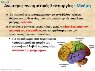 Ανώτερες πνευματικές λειτουργίες : Μνήμη
Σε περιπτώσεις τραυματισμού του εγκεφάλου, ή λόγω
διάφορων ασθενειών, μπορεί να παρατηρηθεί απώλεια
μνήμης, αμνησία.
Η απώλεια συγκεκριμένου τύπου μνήμης εξαρτάται από την
περιοχή του εγκεφάλου, που επηρεάστηκε από τον
τραυματισμό ή από την ασθένεια.
 Για παράδειγμα, στις περιπτώσεις
τραυματισμού περιοχών του
κροταφικού λοβού παρατηρείται
απώλεια στη μνήμη ήχων.
Βιολογία Α' Λυκ.- Θ.Ταντανάσης 83
Σελ. 163
 