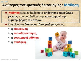 Ανώτερες πνευματικές λειτουργίες : Μάθηση
Μάθηση είναι η διαδικασία απόκτησης καινούριας
γνώσης, που συμβάλλει στην προσαρμογή της
συμπεριφοράς του ατόμου.
Διακρίνονται διάφοροι τύποι μάθησης όπως:
 η εξοικείωση,
 η ευαισθητοποίηση,
 η συνειρμική μάθηση,
 η αντίληψη.
Βιολογία Α' Λυκ.- Θ.Ταντανάσης
Σελ. 164
84
 