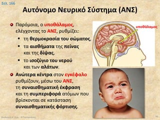 Αυτόνομο Νευρικό Σύστημα (ΑΝΣ)
Παρόμοια, ο υποθάλαμος,
ελέγχοντας το ΑΝΣ, ρυθμίζει:
 τη θερμοκρασία του σώματος,
 τα αισθήματα της πείνας
και της δίψας,
 το ισοζύγιο του νερού
και των αλάτων.
Ανώτερα κέντρα στον εγκέφαλο
ρυθμίζουν, μέσω του ΑΝΣ,
τη συναισθηματική έκφραση
και τη συμπεριφορά ατόμων που
βρίσκονται σε κατάσταση
συναισθηματικής φόρτισης.
Βιολογία Α' Λυκ.- Θ.Ταντανάσης 98
Σελ. 166
υποθάλαμος
 