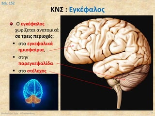 Biology a lyk-kef9