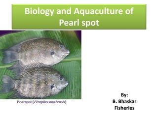 Biology and Aquaculture of
Pearl spot
By:
B. Bhaskar
Fisheries
 