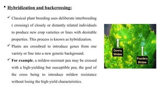 biology and human welfare final for class | PPTX
