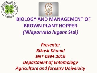BIOLOGY AND MANAGEMENT OF
BROWN PLANT HOPPER
(Nilaparvata lugens Stal)
Presenter
Bikash Khanal
ENT-05M-2019
Department of Entomology
Agriculture and forestry University
 
