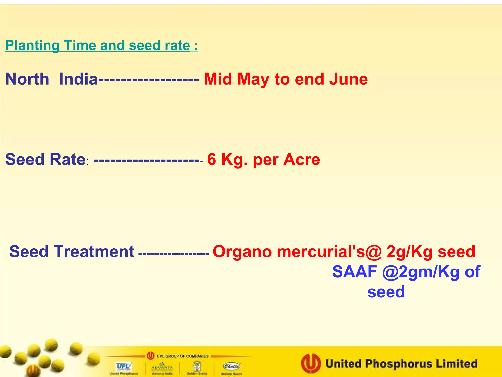 Planting Time and seed rate  : North  India------------------   Mid May to end June Seed Rate :  ------------------- -   6 Kg. per Acre Seed Treatment  -----------------  Organo mercurial's@ 2g/Kg seed  SAAF @2gm/Kg of seed   