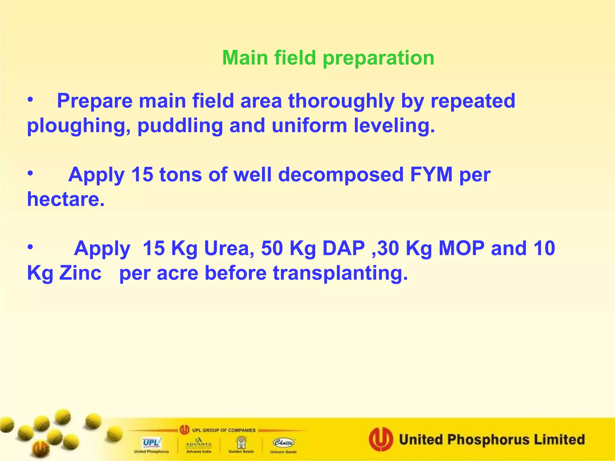 Main field preparation   Prepare main field area thoroughly by repeated ploughing, puddling and uniform leveling. Apply 15 tons of well decomposed FYM per hectare. Apply  15 Kg Urea, 50 Kg DAP ,30 Kg MOP and 10 Kg Zinc  per acre before transplanting. 