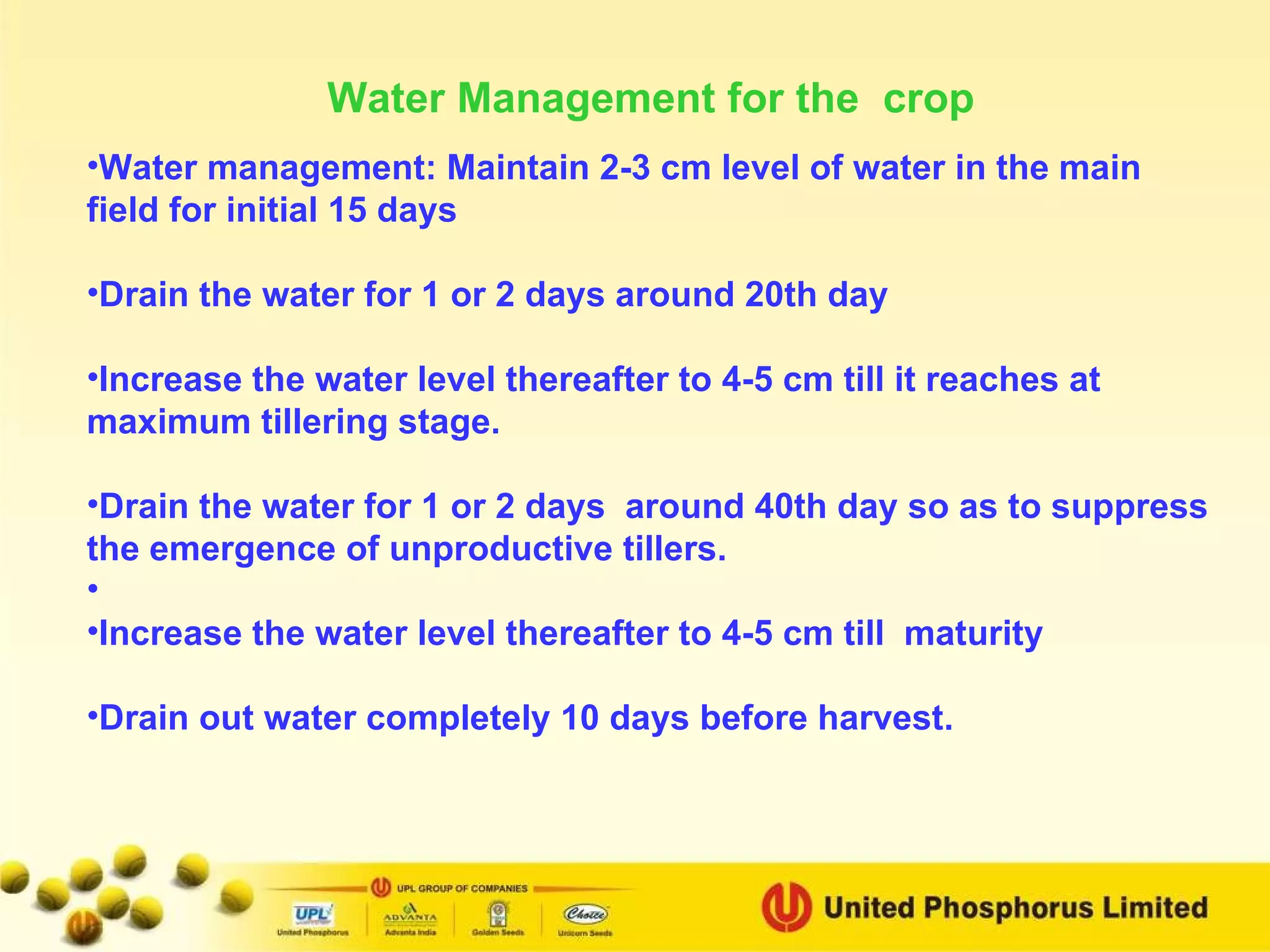 Water management: Maintain 2-3 cm level of water in the main field for initial 15 days Drain the water for 1 or 2 days around 20th day Increase the water level thereafter to 4-5 cm till it reaches at maximum tillering stage. Drain the water for 1 or 2 days  around 40th day so as to suppress the emergence of unproductive tillers. Increase the water level thereafter to 4-5 cm till  maturity Drain out water completely 10 days before harvest. Water Management for the  crop 