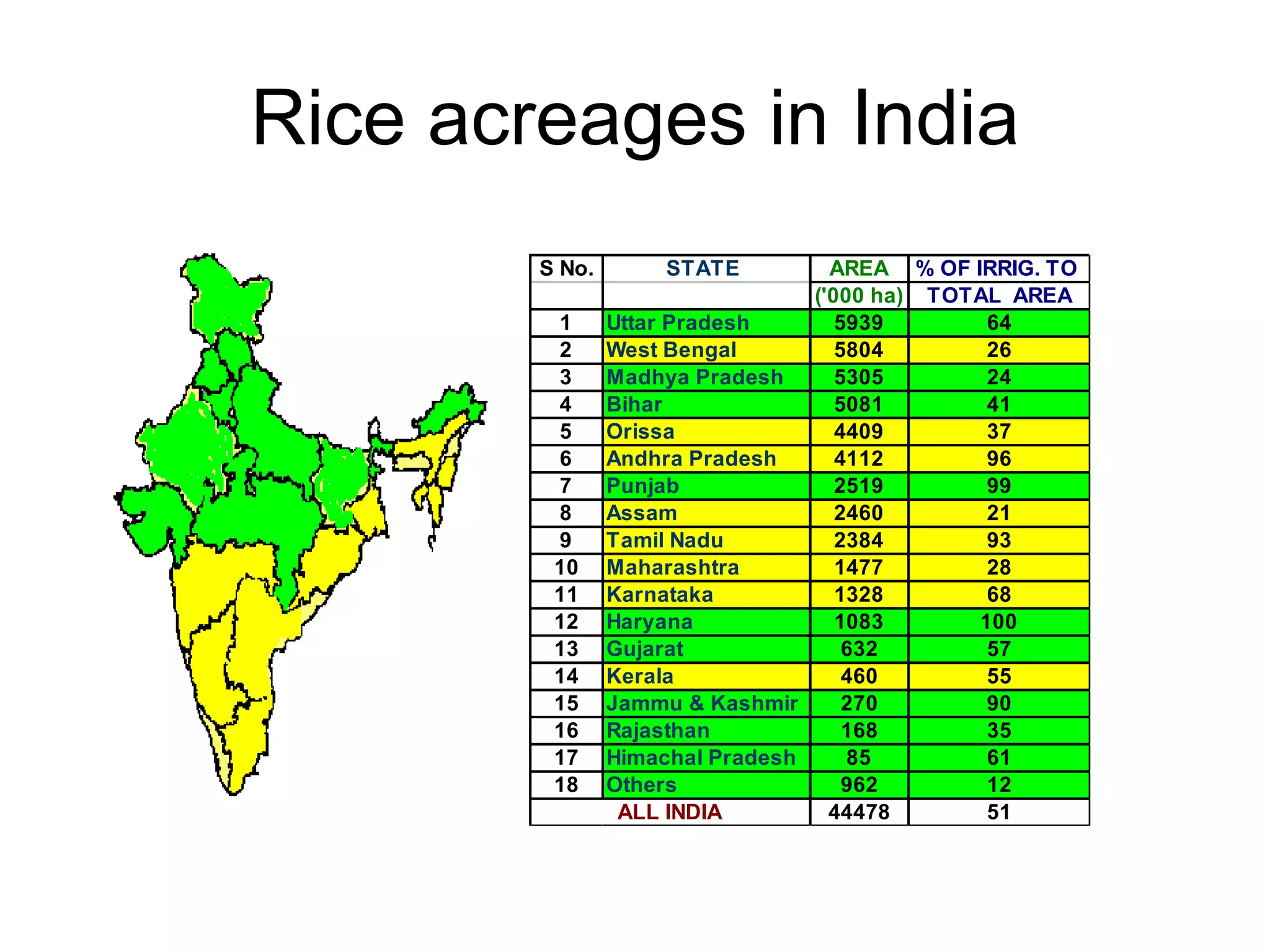 Rice acreages in India 