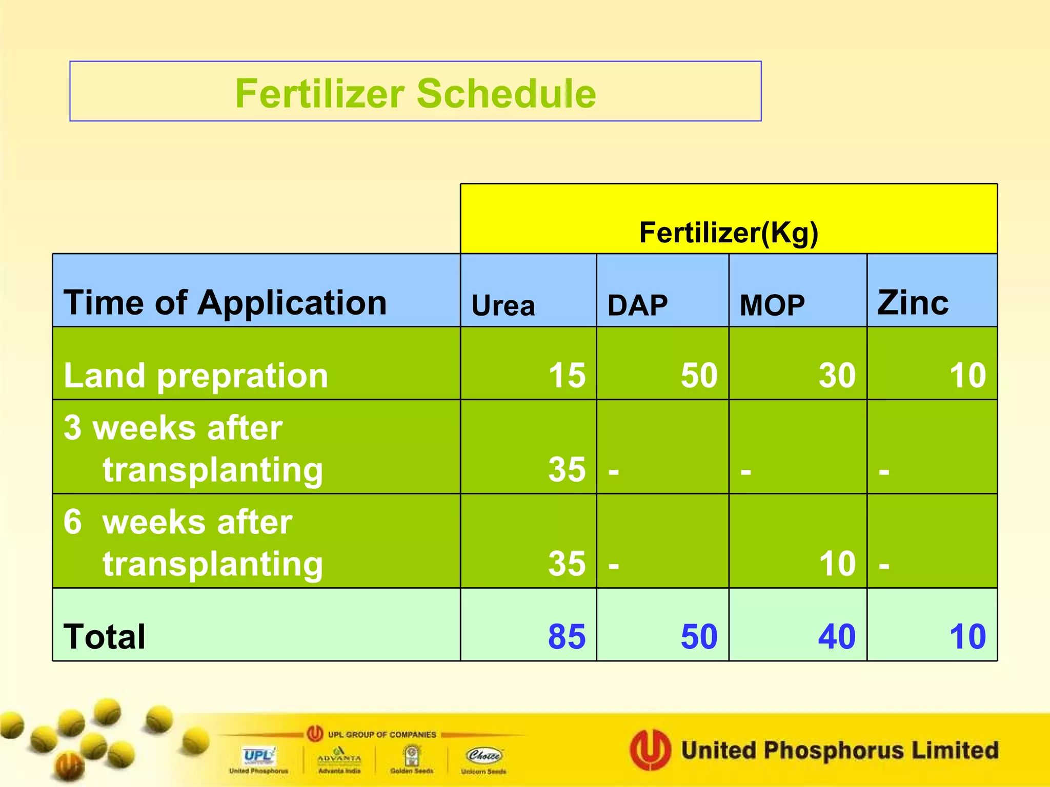 Fertilizer Schedule 10 40 50 85 Total - 10 - 35 6  weeks after transplanting - - - 35 3 weeks after transplanting 10 30 50 15 Land prepration Zinc MOP DAP Urea Time of Application Fertilizer(Kg) 
