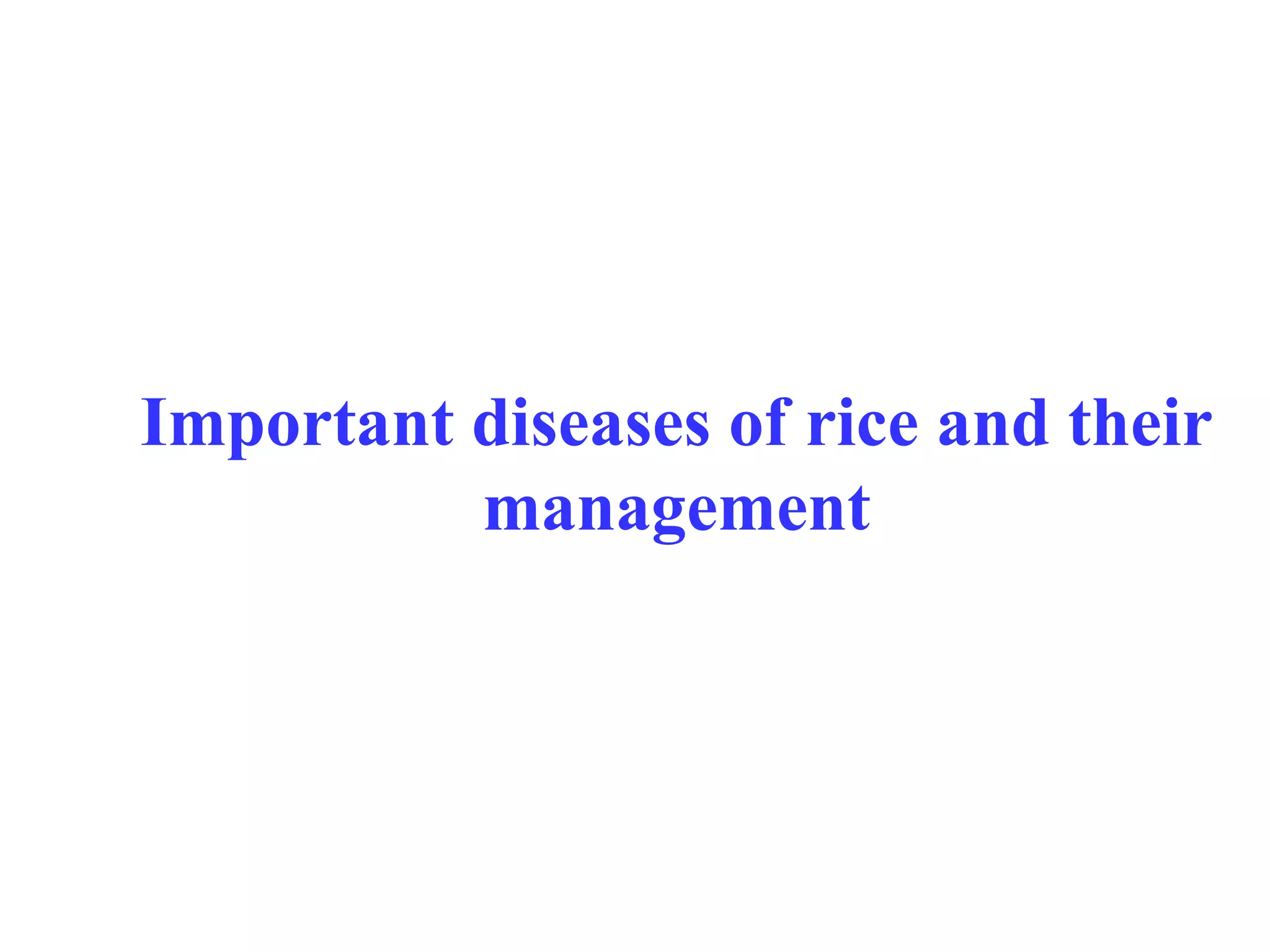 Important diseases of rice and their management 