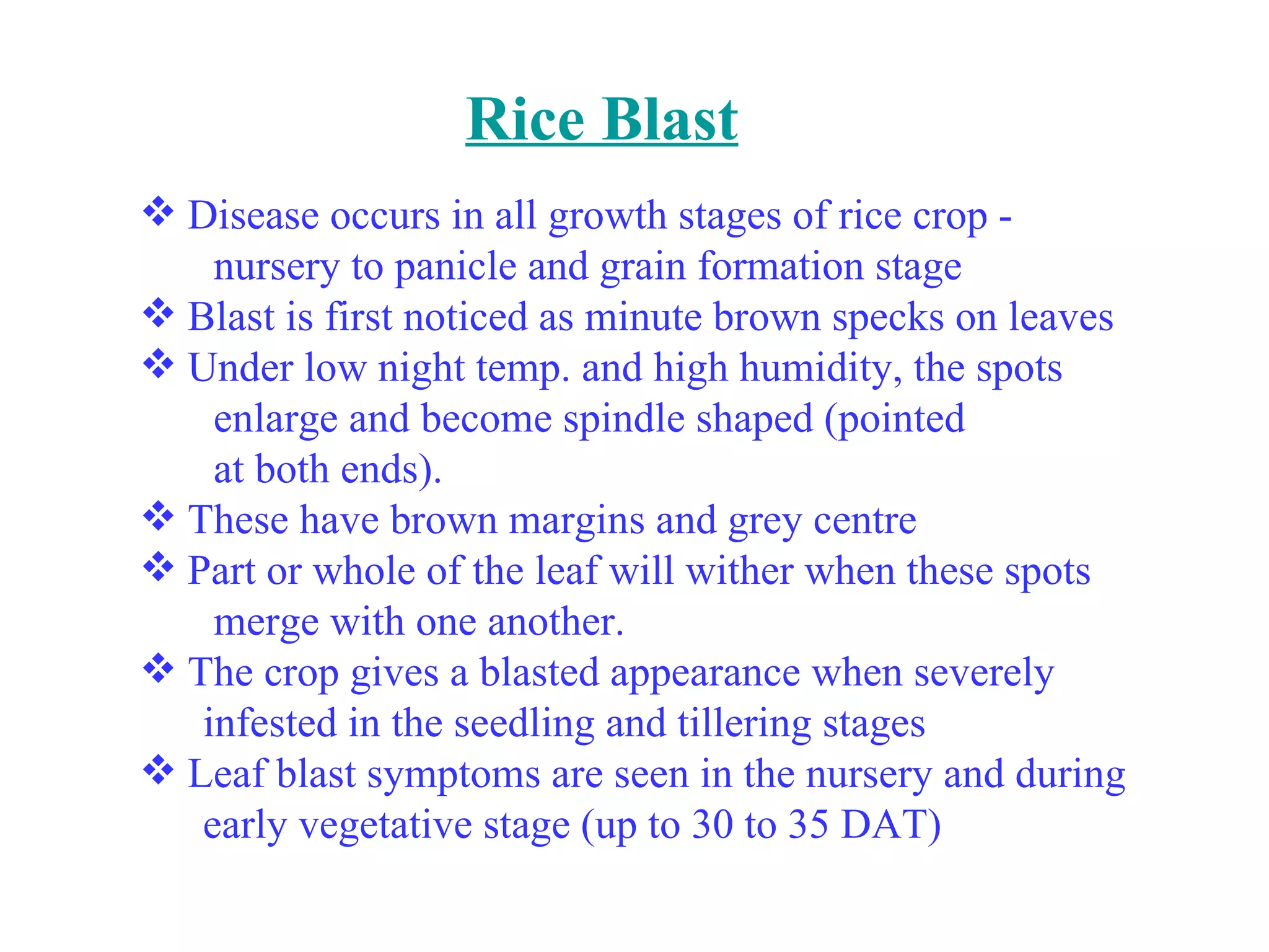 Rice Blast Disease occurs in all growth stages of rice crop - nursery to panicle and grain formation stage Blast is first noticed as minute brown specks on leaves Under low night temp. and high humidity, the spots enlarge and become spindle shaped (pointed at both ends). These have brown margins and grey centre Part or whole of the leaf will wither when these spots   merge with one another. The crop gives a blasted appearance when severely infested in the seedling and tillering stages Leaf blast symptoms are seen in the nursery and during   early vegetative stage (up to 30 to 35 DAT) 