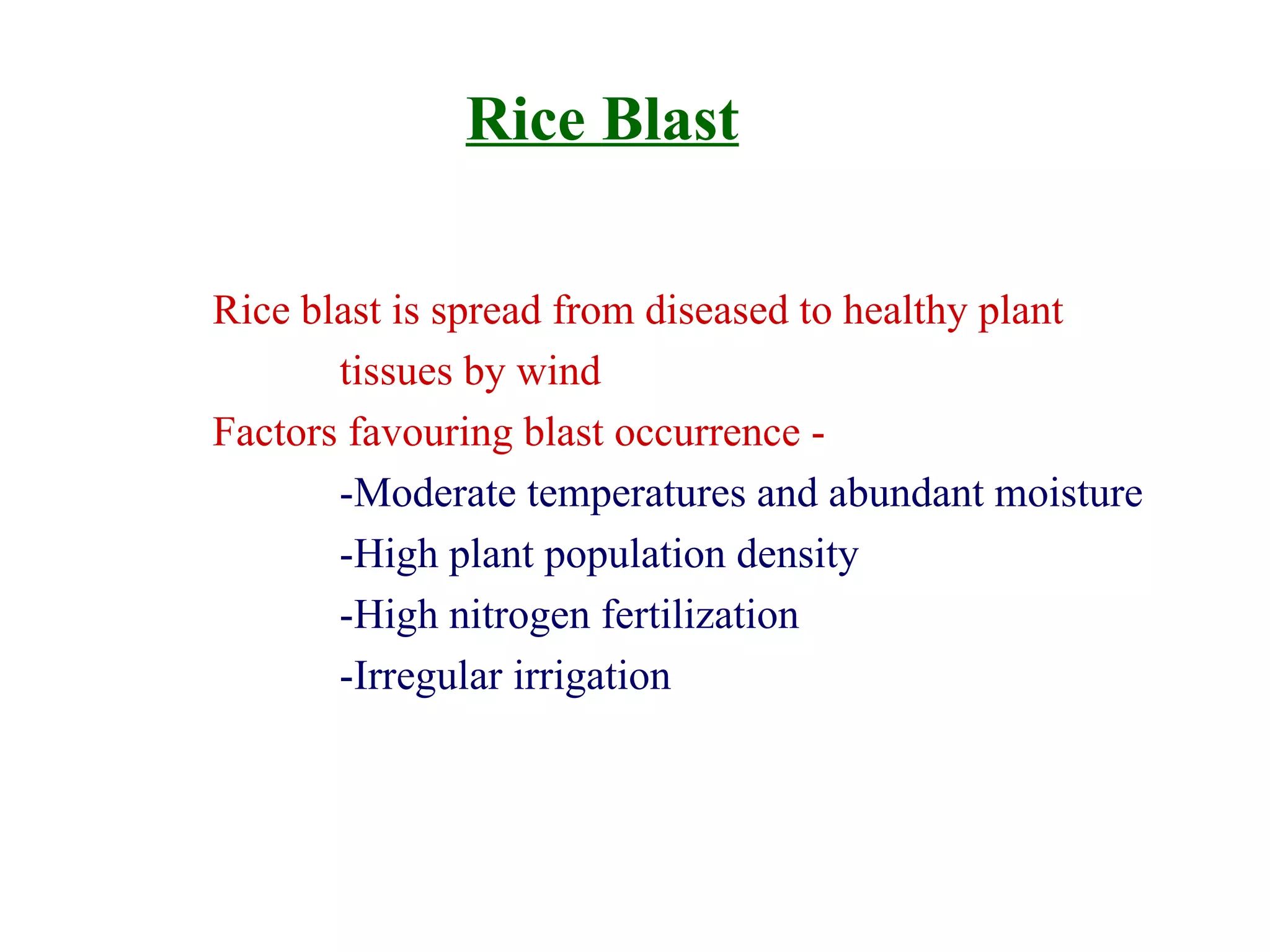 Rice Blast Rice blast is spread from diseased to healthy plant tissues by wind Factors favouring blast occurrence - -Moderate temperatures and abundant moisture -High plant population density -High nitrogen fertilization -Irregular irrigation 