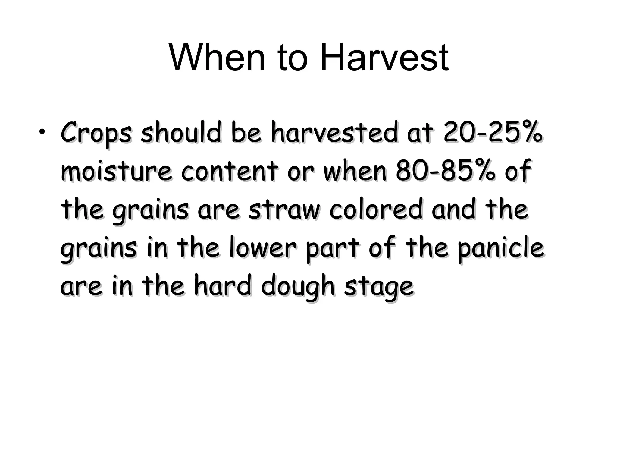 When to Harvest Crops should be harvested at 20-25% moisture content or when 80-85% of the grains are straw colored and the grains in the lower part of the panicle are in the hard dough stage  