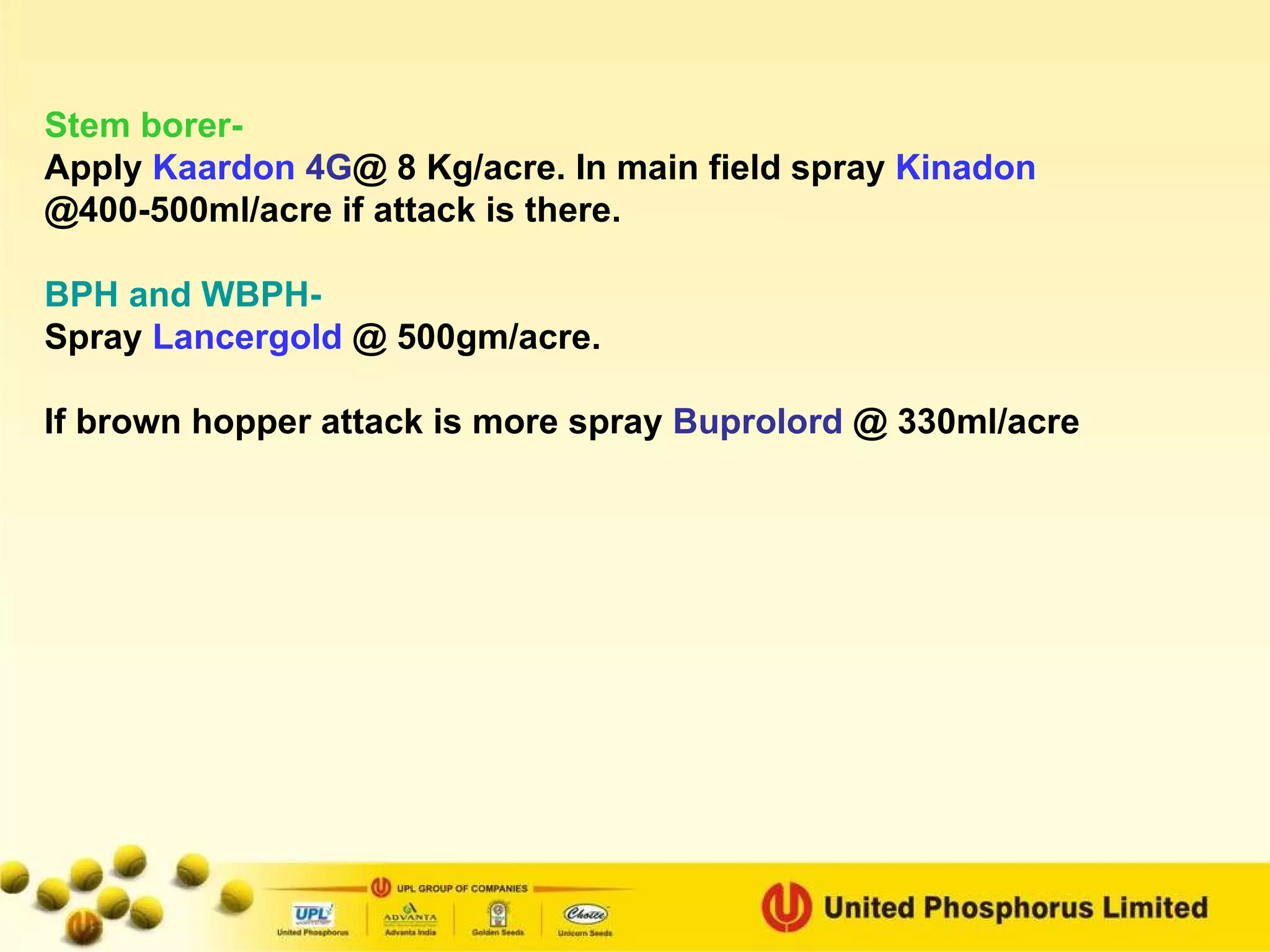 Stem borer-   Apply  Kaardon  4G @ 8 Kg/acre. In main field spray   Kinadon  @400-500ml/acre if attack is there. BPH and WBPH- Spray  Lancergold  @ 500gm/acre. If brown hopper attack is more spray  Buprolord  @ 330ml/acre 