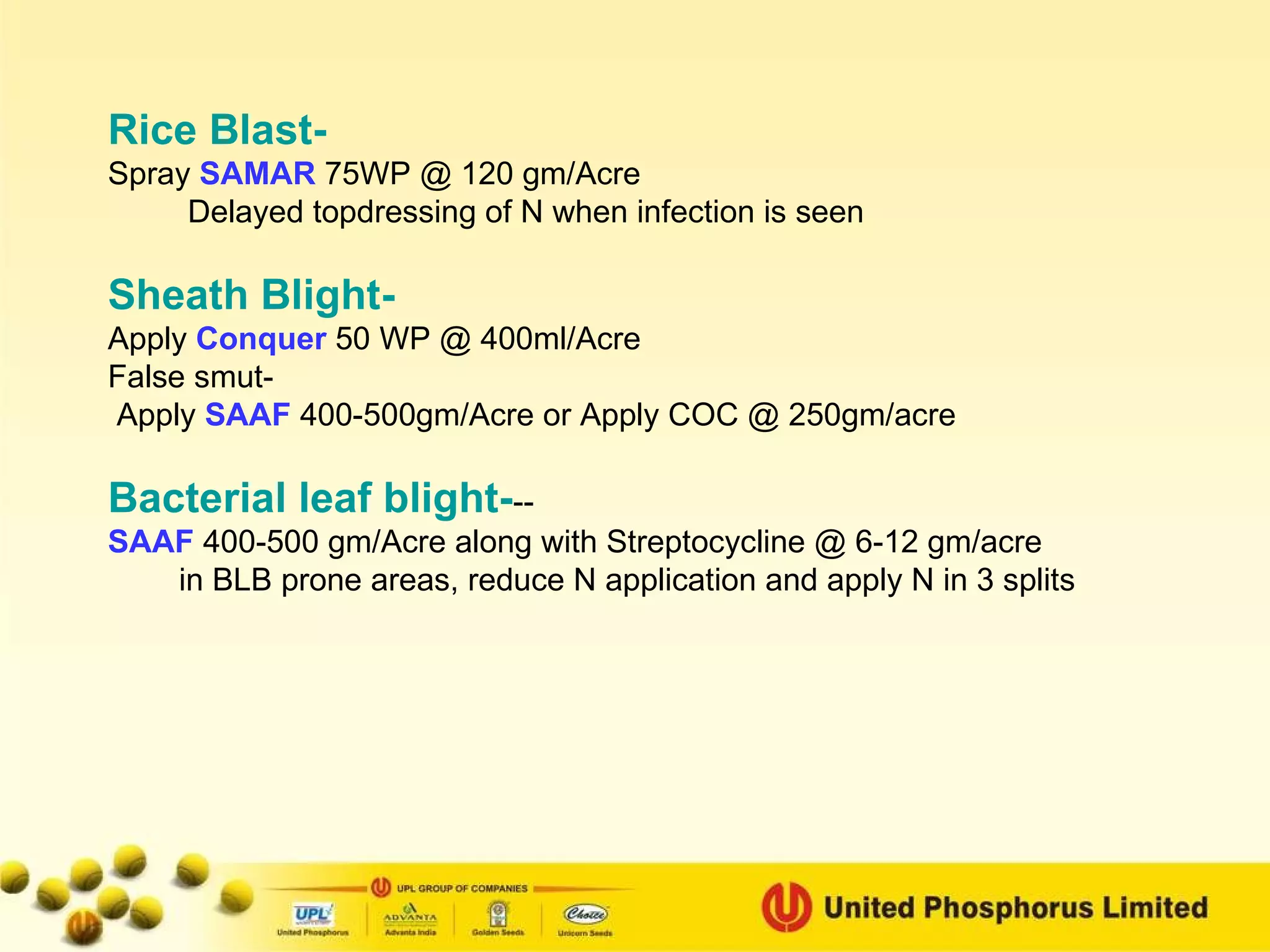 Rice Blast-   Spray  SAMAR   75WP @ 120 gm/Acre Delayed topdressing of N when infection is seen Sheath Blight- Apply  Conquer   50 WP @ 400ml/Acre False smut- Apply   SAAF   400-500gm/Acre or Apply COC @ 250gm/acre Bacterial leaf blight- --  SAAF   400-500 gm/Acre along with Streptocycline @ 6-12 gm/acre in BLB prone areas, reduce N application and apply N in 3 splits 