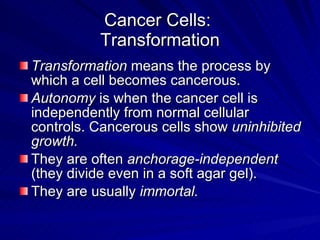 Biology And Pathophysiology Of Cancer | PPT