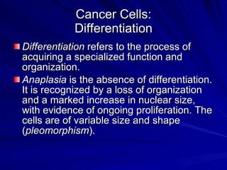 Biology And Pathophysiology Of Cancer | PPT