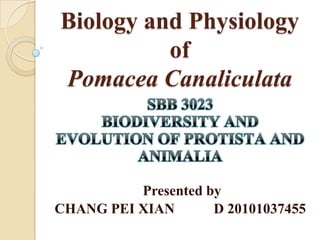 Biology and Physiology
          of
Pomacea Canaliculata



          Presented by
CHANG PEI XIAN       D 20101037455
 