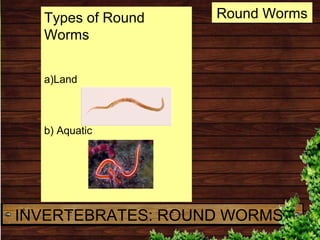 Types of Round
Worms
a)Land
b) Aquatic
Round Worms
INVERTEBRATES: ROUND WORMS
 