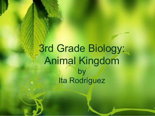 3rd Grade Biology Animal Kingdom By Ita Rodriguez 3rd Grade Biology Animal Kingdom By Ita Rodriguez