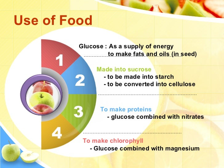 Biology an nahl making food from sunlight