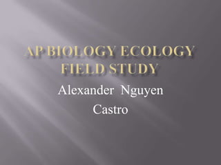 Alexander Nguyen
Castro

 
