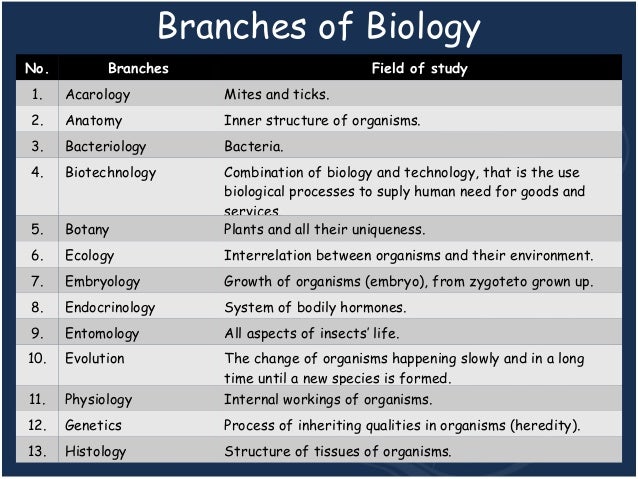 Mind map biology. Branches of biology. Fields of biology. Инфографика биология. Branches of chemistry.