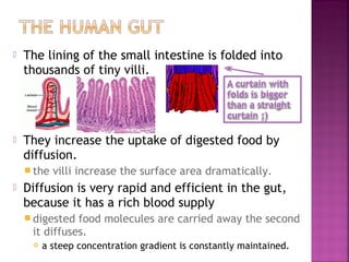 

The lining of the small intestine is folded into
thousands of tiny villi.



They increase the uptake of digested food by
diffusion.
 the



villi increase the surface area dramatically.

Diffusion is very rapid and efficient in the gut,
because it has a rich blood supply
 digested

food molecules are carried away the second
it diffuses.


a steep concentration gradient is constantly maintained.

 
