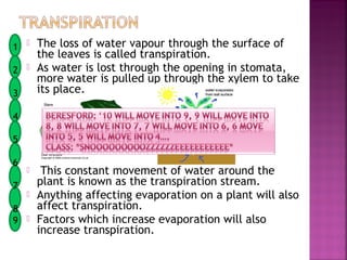 1 
2 
3

The loss of water vapour through the surface of
the leaves is called transpiration.
As water is lost through the opening in stomata,
more water is pulled up through the xylem to take
its place.

4
5
6
7




8
9 

This constant movement of water around the
plant is known as the transpiration stream.
Anything affecting evaporation on a plant will also
affect transpiration.
Factors which increase evaporation will also
increase transpiration.

 