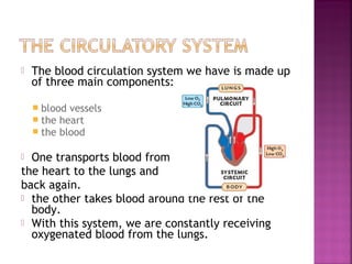 

The blood circulation system we have is made up
of three main components:
 blood vessels
 the heart
 the blood

One transports blood from
the heart to the lungs and
back again.
 the other takes blood around the rest of the
body.
 With this system, we are constantly receiving
oxygenated blood from the lungs.


 