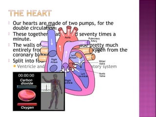 





Our hearts are made of two pumps, for the
double circulation.
These together beat around seventy times a
minute.
The walls of the heart are made pretty much
entirely from muscle which gets oxygen from the
coronary blood vessels.
Split into four chambers
 Ventricle

and Atrium for each circulatory system

 
