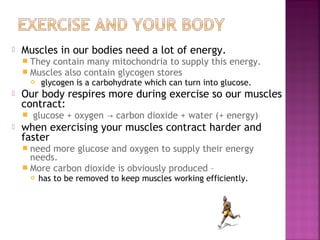 

Muscles in our bodies need a lot of energy.
 They contain many mitochondria to supply
 Muscles also contain glycogen stores




glycogen is a carbohydrate which can turn into glucose.

Our body respires more during exercise so our muscles
contract:




this energy.

glucose + oxygen → carbon dioxide + water (+ energy)

when exercising your muscles contract harder and
faster
 need

more glucose and oxygen to supply their energy
needs.
 More carbon dioxide is obviously produced –


has to be removed to keep muscles working efficiently.

 