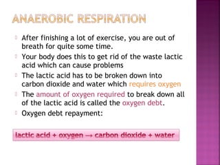 









After finishing a lot of exercise, you are out of
breath for quite some time.
Your body does this to get rid of the waste lactic
acid which can cause problems
The lactic acid has to be broken down into
carbon dioxide and water which requires oxygen
The amount of oxygen required to break down all
of the lactic acid is called the oxygen debt.
Oxygen debt repayment:

 