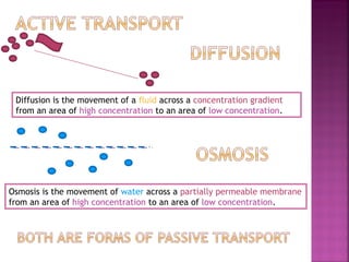 Diffusion is the movement of a fluid across a concentration gradient
from an area of high concentration to an area of low concentration.

Osmosis is the movement of water across a partially permeable membrane
from an area of high concentration to an area of low concentration.

 