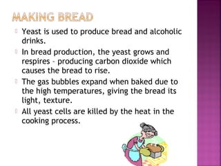 







Yeast is used to produce bread and alcoholic
drinks.
In bread production, the yeast grows and
respires – producing carbon dioxide which
causes the bread to rise.
The gas bubbles expand when baked due to
the high temperatures, giving the bread its
light, texture.
All yeast cells are killed by the heat in the
cooking process.

 