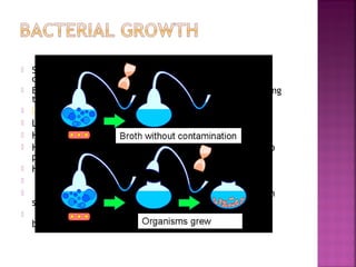 











Spontaneous generation is the belief that all living things
come from a non-living thing.
Biogenesis is the idea that living things created other living
things.

Louis Pasteur's broth
Louis broiled broth for 15 min.
He then let it sit for some time in a swan neck flask.
He noticed that some dust had accumulated in the top
part of the flask.
He took a sample from the broth inside the flask.
He noticed that nothing was growing in it.
So he then preceded to shake the broth in the flask in
such a way, that it would touch the dust at the top.
He then took a sample from that and it was highly
bacteria ridden.

 