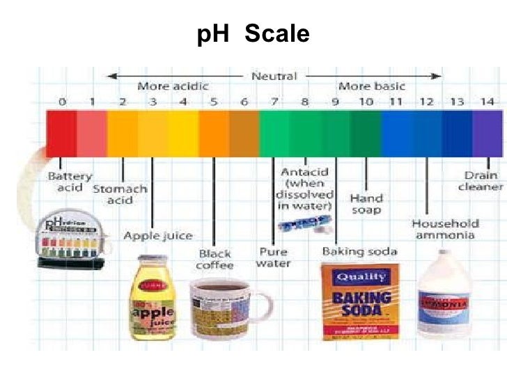 Is coffee an acid or a base?