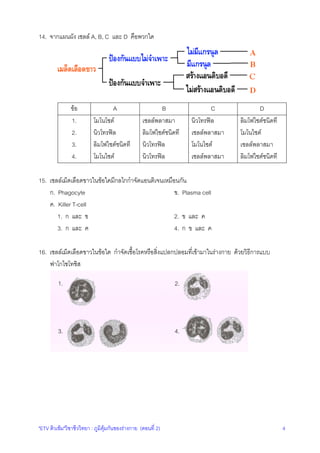 14. จากแผนผัง เซลล A, B, C และ D คือพวกใด

ขอ
1.
2.
3.
4.

A
โมโนโซต
นิวโทรฟล
ลิมโฟไซตชนิดที
โมโนไซต

B
เซลลพลาสมา
ลิมโฟไซตชนิดที
นิวโทรฟล
นิวโทรฟล

C
นิวโทรฟล
เซลลพลาสมา
โมโนไซต
เซลลพลาสมา

D
ลิมโฟไซตชนิดที
โมโนไซต
เซลลพลาสมา
ลิมโฟไซตชนิดที

15. เซลลเม็ดเลือดขาวในขอใดมีกลไกกําจัดแอนติเจนเหมือนกัน
ก. Phagocyte
ข. Plasma cell
ค. Killer T-cell
1. ก และ ข
2. ข และ ค
3. ก และ ค
4. ก ข และ ค
16. เซลลเม็ดเลือดขาวในขอใด กําจัดเชื้อโรคหรือสิ่งแปลกปลอมที่เขามาในรางกาย ดวยวิธีการแบบ
ฟาโกไซโทซิส
1.

2.

3.

4.

"ETV ติวเขม"วิชาชีววิทยา : ภูมิคุมกันของรางกาย (ตอนที่ 2)

4

 