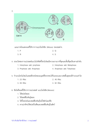 3.

P

Q

Chromosomes
Cell A
R

S

แผนภาพใดแสดงผลที่ไดจากการแบงไมโทซิส (Mitosis) ของเซลล A
1. P
2. Q
3. R
4. S
4. ระยะใดของการแบงเซลลแบบไมโทซิสที่โครโมโซมมีความยาวมากที่สุดและสั้นที่สุดเรียงตามลําดับ
1. Interphase และ prophase
2. Interphase และ Metaphase
3. Prophase และ Anaphase
4. Anaphase และ Telophase
5. จํานวนโครโมโซมในเซลลผิวหนังของมนุษยที่ตรวจพบไดในระยะแอนาเฟสสิ้นสุดลงมีจํานวนเทาใด
1. 23 ทอน
2. 46 ทอน
3. 69 ทอน
4. 92 ทอน
6. ขอใดคือผลที่ไดจากการแบงเซลล แบบไมโอซิส (Meiosis)
1. ไดสปอรเสมอ
2. ไดเซลลสืบพันธุเสมอ
3. ไดทั้งสปอรและเซลลสืบพันธุในทั้งสัตวและพืช
4. ตามปกติจะไดสปอรในพืชและเซลลสืบพันธุในสัตว

"ETV ติวเขม"วิชาชีววิทยา : การแบงเซลล

2

 