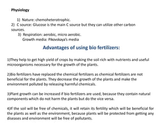 Physiology
1) Nature: chemoheterotrophic.
2) C source: Glucose is the main C source but they can utilize other carbon
sources.
3) Respiration: aerobic, micro aerobic.
Growth media: Pikovskaya’s media
Advantages of using bio fertilizers:
1)They help to get high yield of crops by making the soil rich with nutrients and useful
microorganisms necessary for the growth of the plants.
2)Bio fertilizers have replaced the chemical fertilizers as chemical fertilizers are not
beneficial for the plants. They decrease the growth of the plants and make the
environment polluted by releasing harmful chemicals.
3)Plant growth can be increased if bio fertilizers are used, because they contain natural
components which do not harm the plants but do the vice versa.
4)If the soil will be free of chemicals, it will retain its fertility which will be beneficial for
the plants as well as the environment, because plants will be protected from getting any
diseases and environment will be free of pollutants.
 