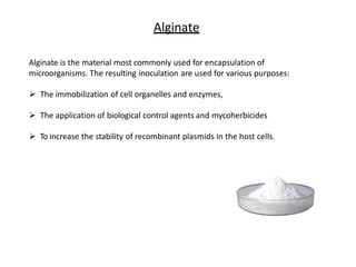 Alginate
Alginate is the material most commonly used for encapsulation of
microorganisms. The resulting inoculation are used for various purposes:
 The immobilization of cell organelles and enzymes,
 The application of biological control agents and mycoherbicides
 To increase the stability of recombinant plasmids in the host cells.
 