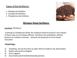 Types of bio fertilizers:
 Nitrogen bio fertilizers
 Compost bio fertilizers
 Phosphorous bio fertilizers
Nitrogen fixing fertilizers:
Symbiotic: Rhizobium
It belongs to rhizobiaceae family, the rhizobium bacteria present in the nodules
of these crops are not always efficient. Therefore, the competitive, efficient
bacteria are isolated, screened, selected and produced as carrier based
inoculants
Morphology:
1) Unicellular, cell size less than 2µ wide. Short to medium rod, pleomorphic
2) Motile with peritricus flagella
3) Gram negative
4) Accumulate poly β-hydroxyl butyrate granules.
 