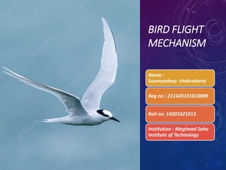 BIRD FLIGHT
MECHANISM
Name :
Soumyadeep chakraborty
Reg no : 211420101610009
Roll no: 14201621013
Institution : Meghnad Saha
Institute of Technology
 