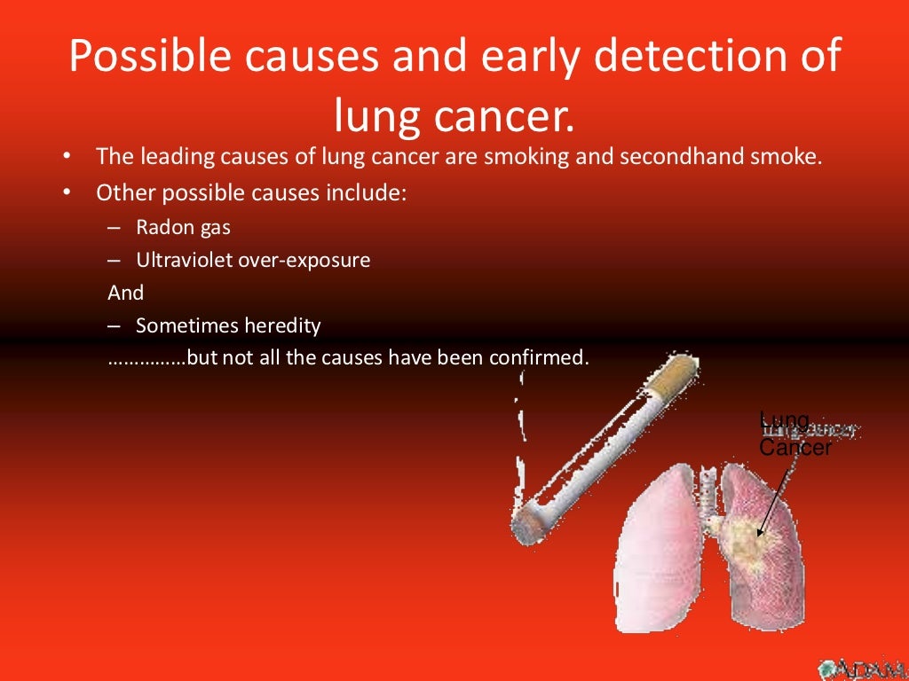 introduction on lung cancer essay
